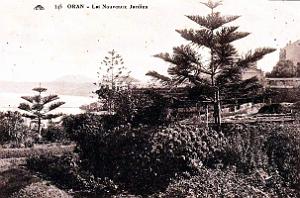 Oran - Jardins - Nouveaux